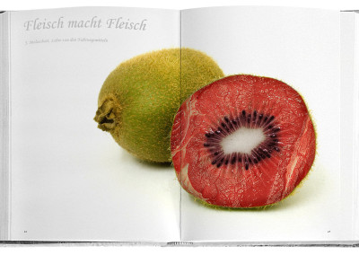 Fleisch